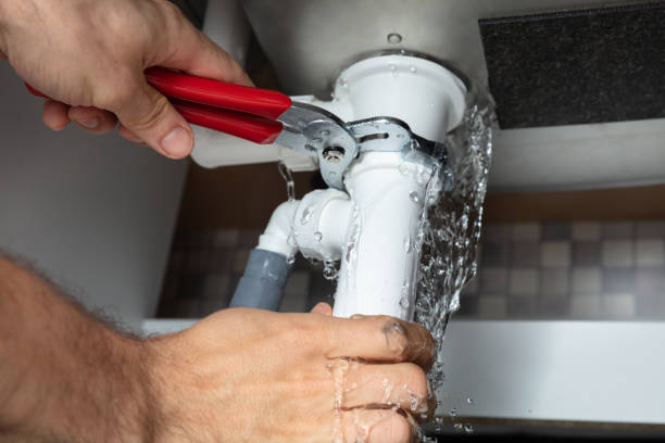 Best Ceiling water damage repair  in Brookdale, SC