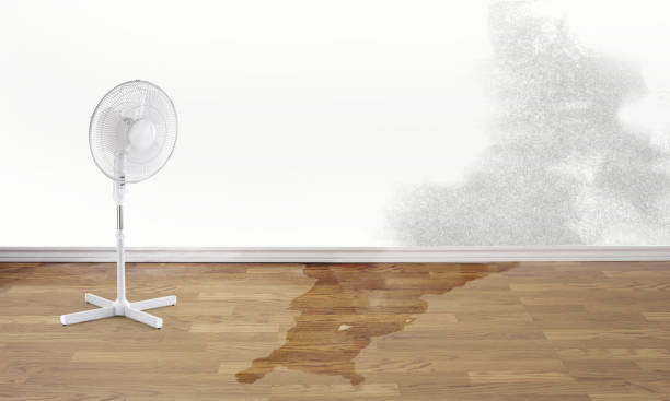 Best Flood restoration services  in Brookdale, SC