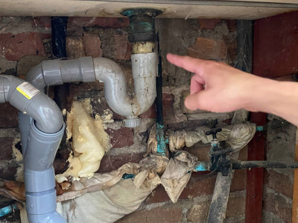  Brookdale, SC Water damage restoration Pros