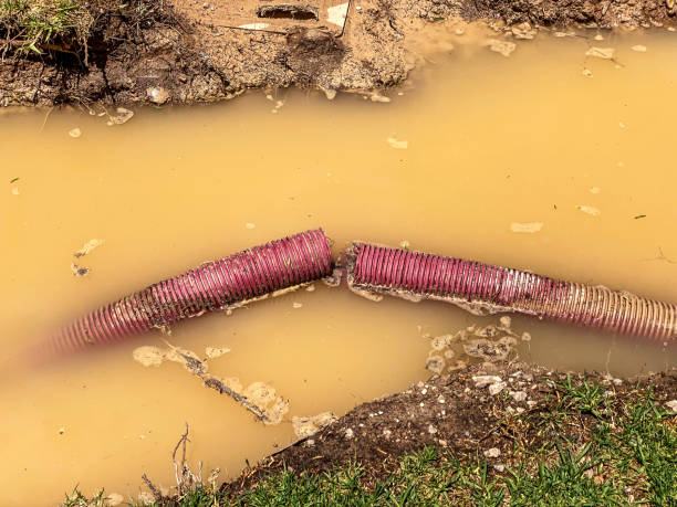 Carpet water damage restoration in Brookdale, SC