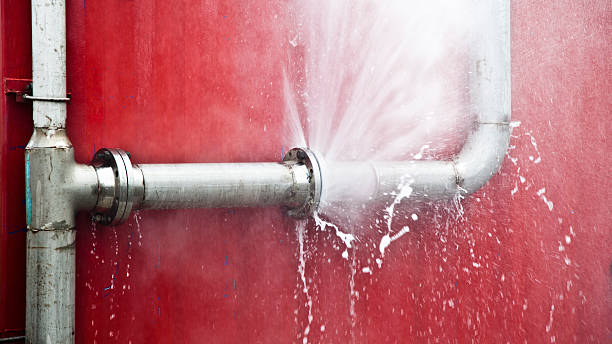 Trusted Brookdale, SC Water damage restoration Experts